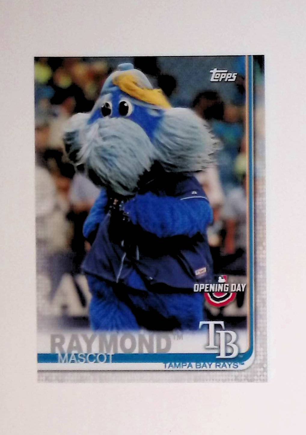 Raymond 2019 Topps Opening Day Mascots #M-23 - LoCo Collectables