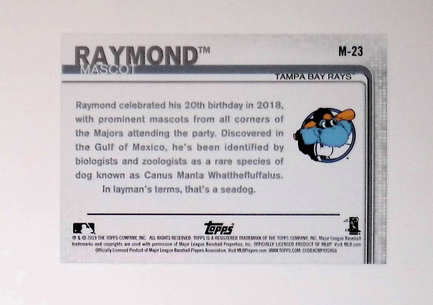 Raymond 2019 Topps Opening Day Mascots #M-23 - LoCo Collectables